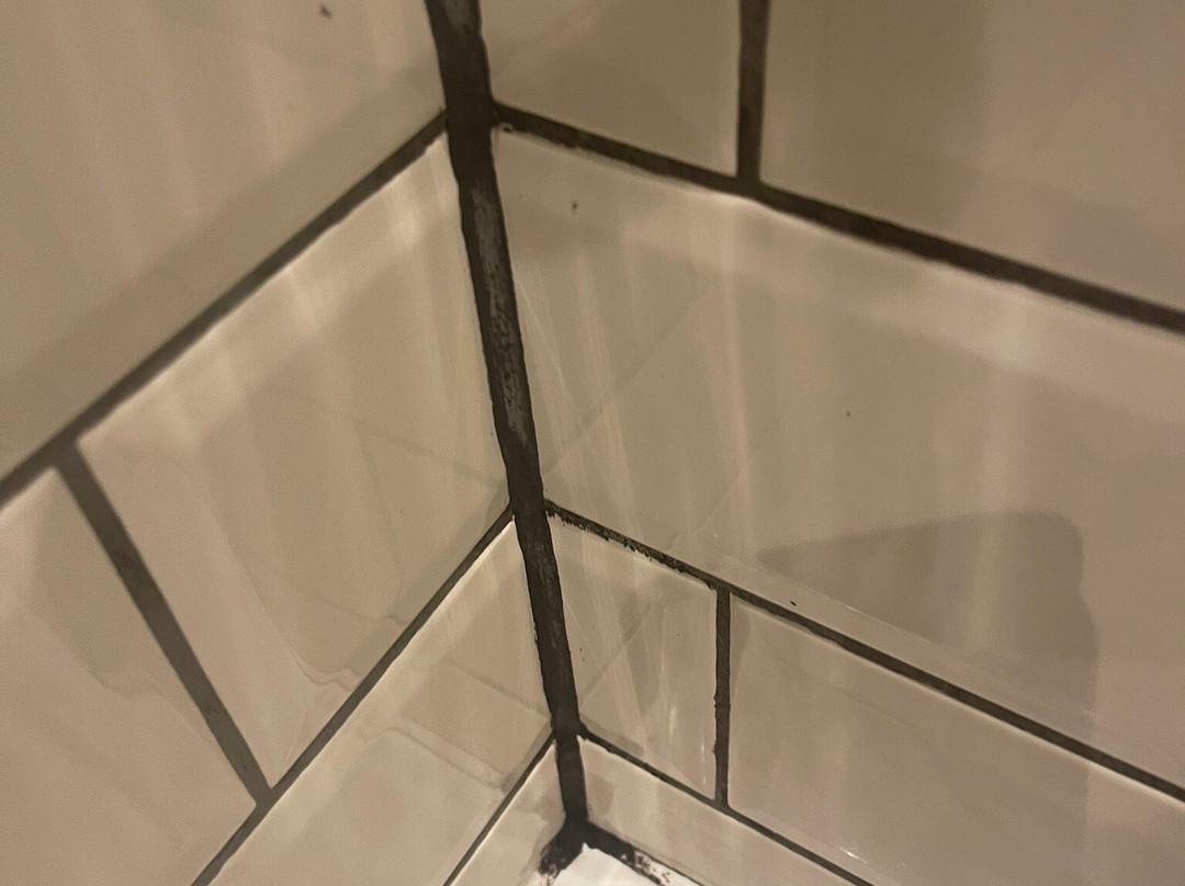 The White Hart Hotel主图