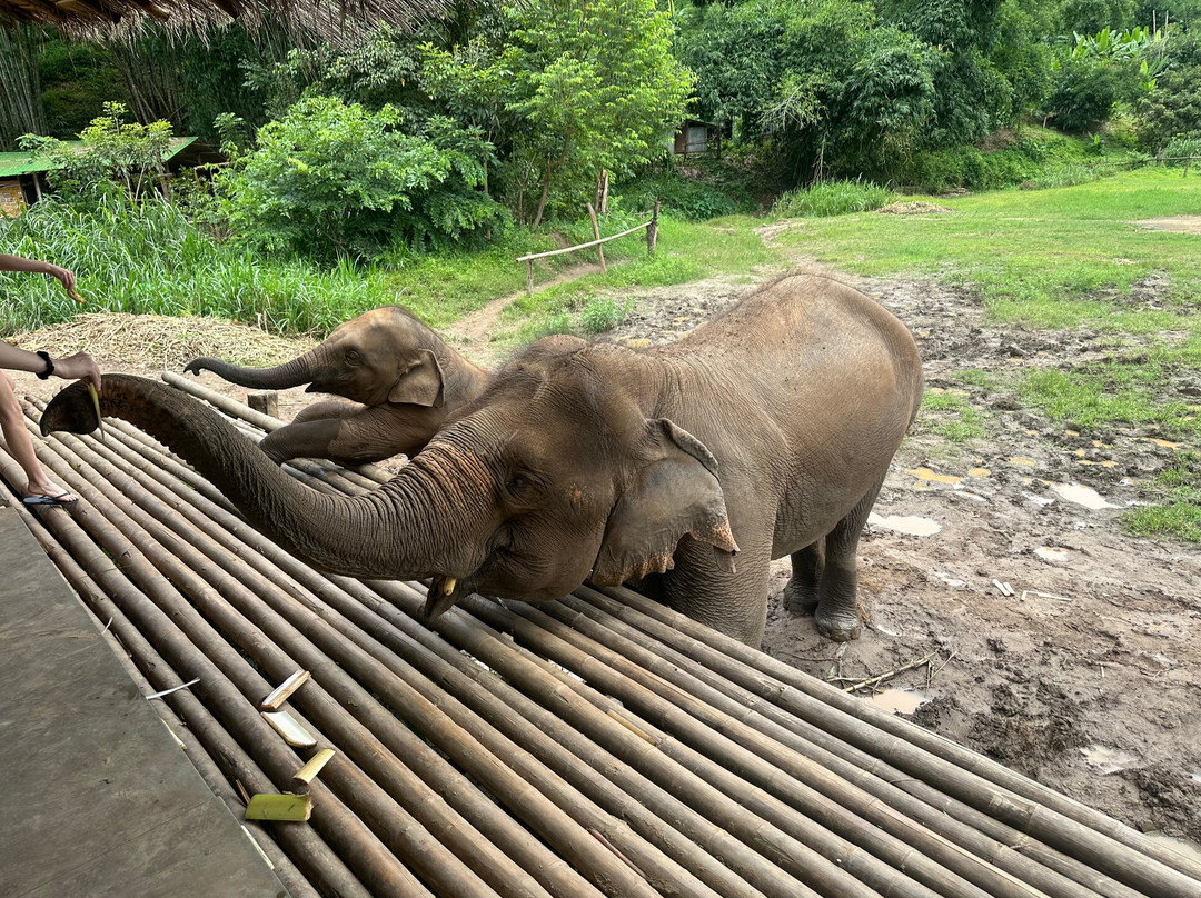Mike's Authentic Trekking-清迈必去景点