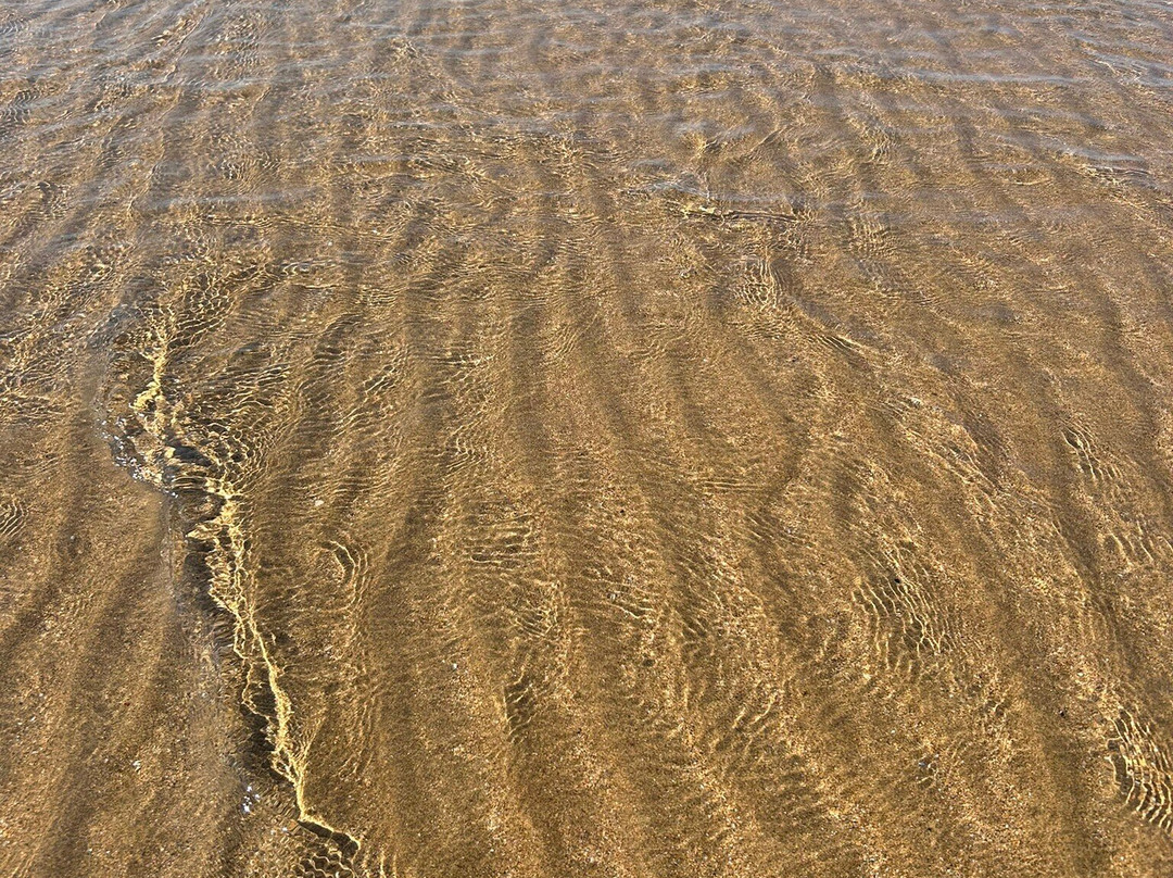 Playa de Laida-贝尔梅奥必去景点