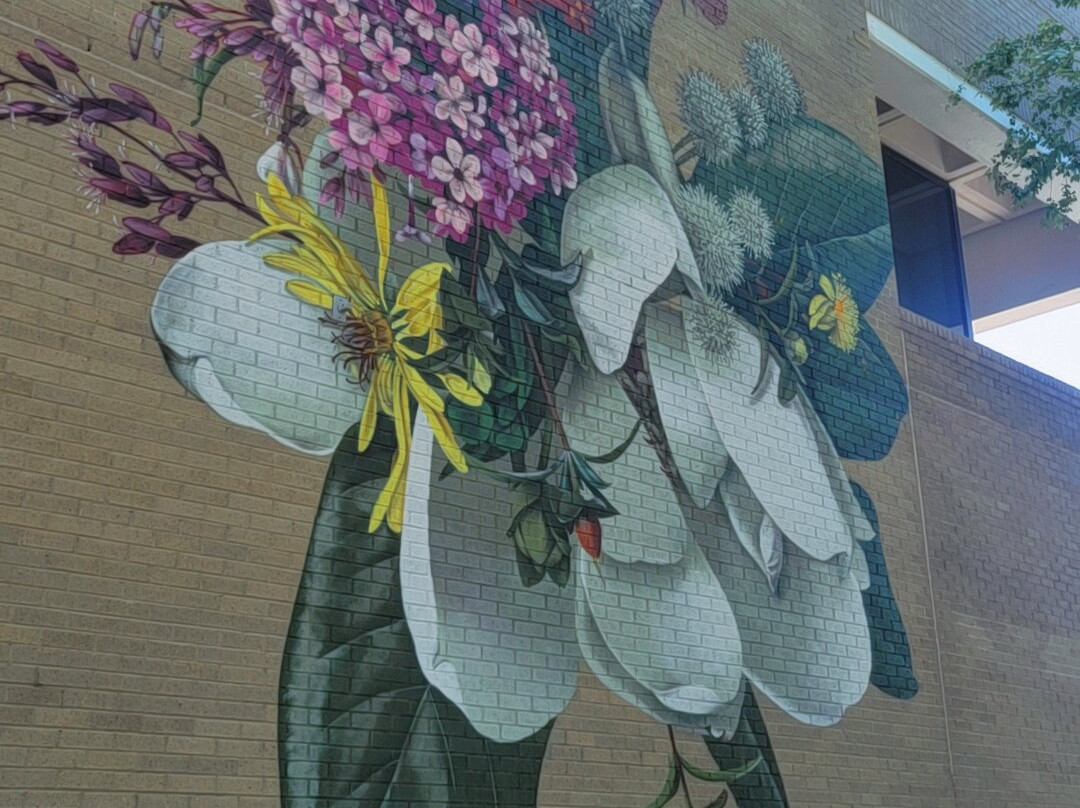 北卡罗来纳艺术博物馆-罗利必去景点