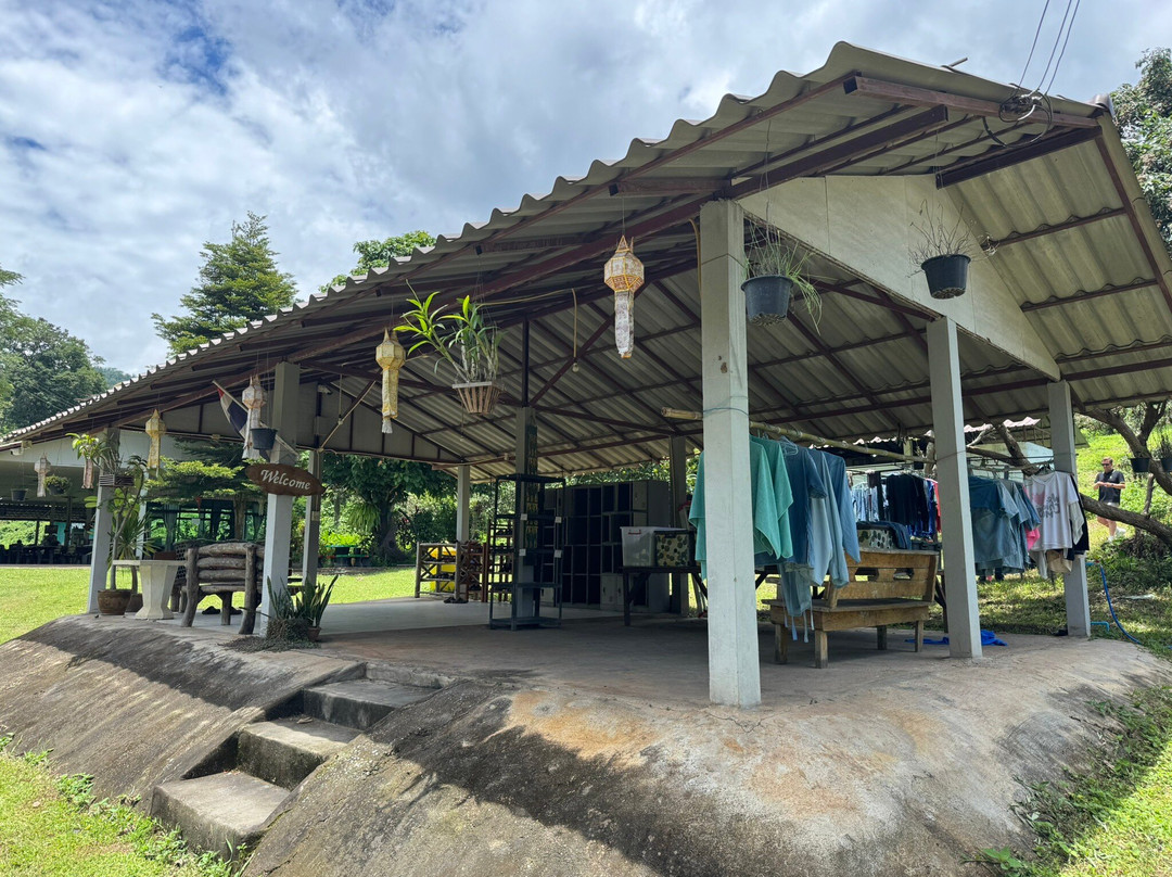 Lanna Kingdom Elephant Sanctuary-清迈必去景点