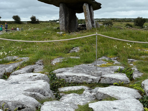 Wild N Happy-都柏林必去景点
