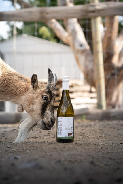 Off The Grid Organic Winery-西基隆拿必去景点