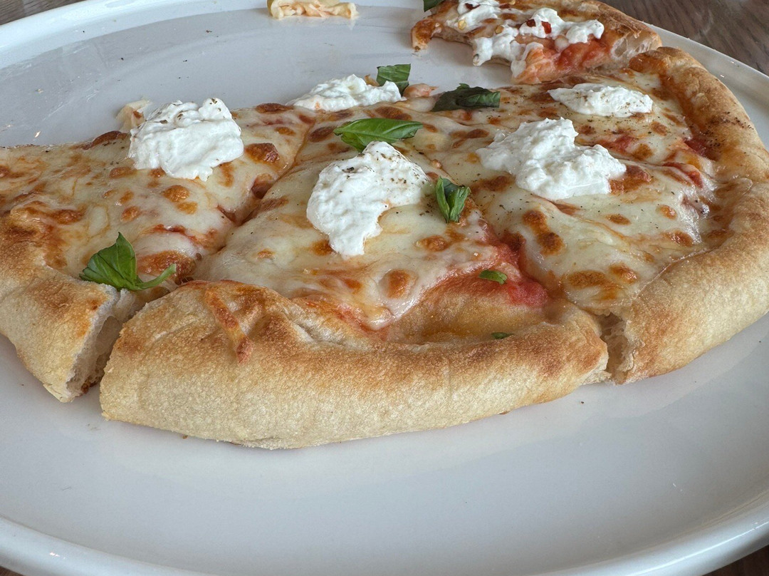 Trump International Golf Club Dubai-迪拜必去景点