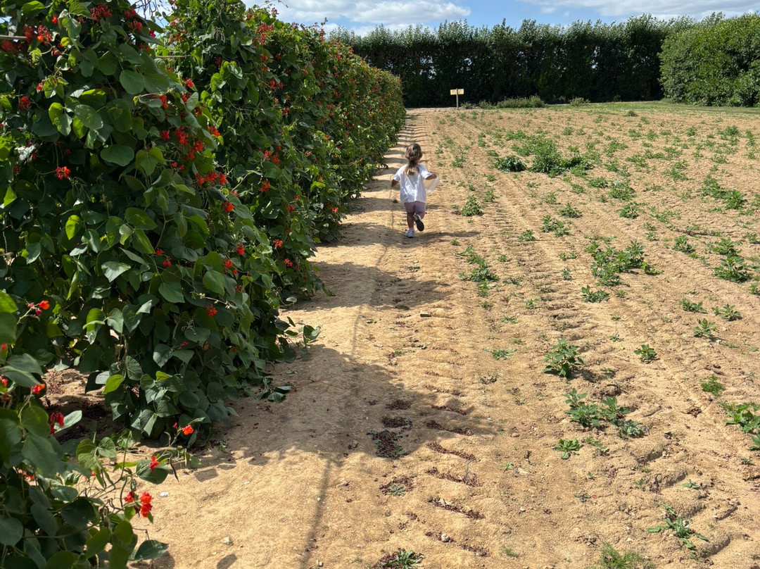 Roundstone Farm-沃辛必去景点