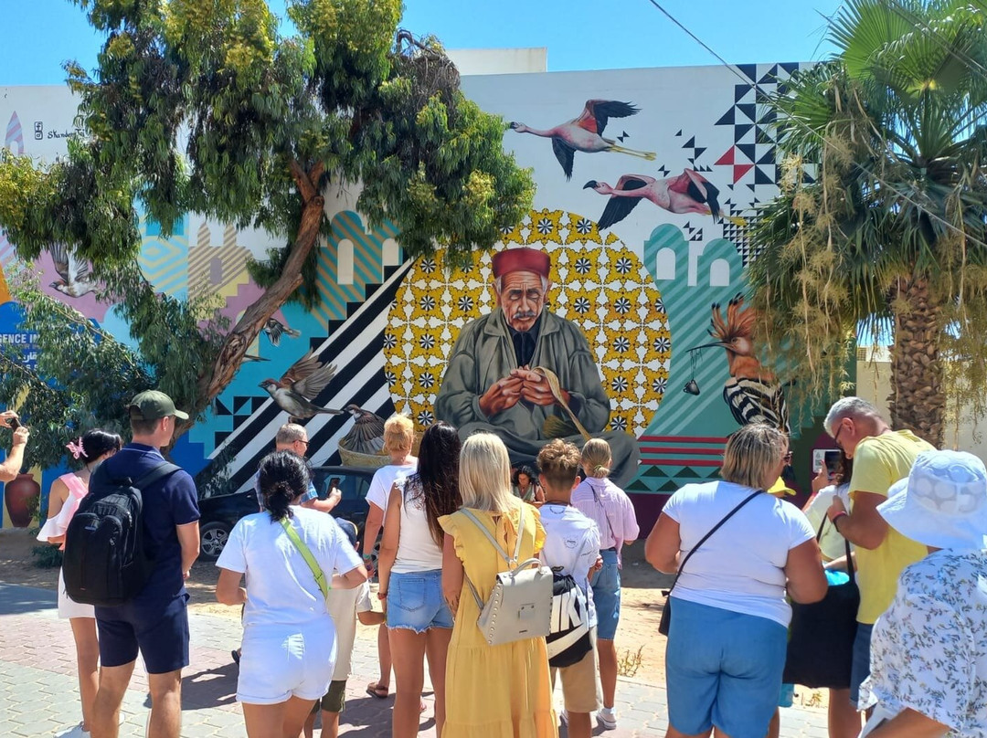 Tunisia Guided Tours-突尼斯必去景点