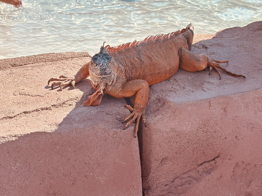 Orka World Waterpark-Ovacik必去景点