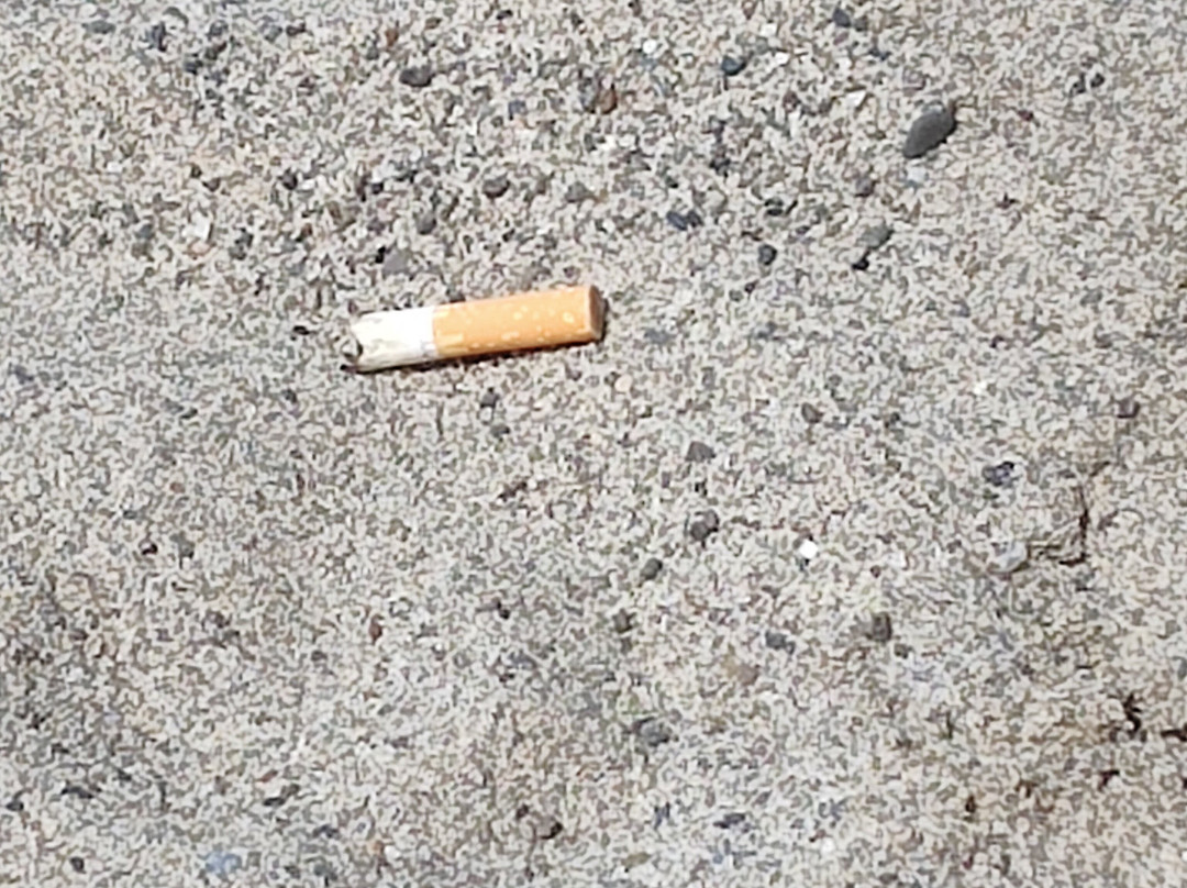 Ciclope Beach-Marina di Camerota必去景点