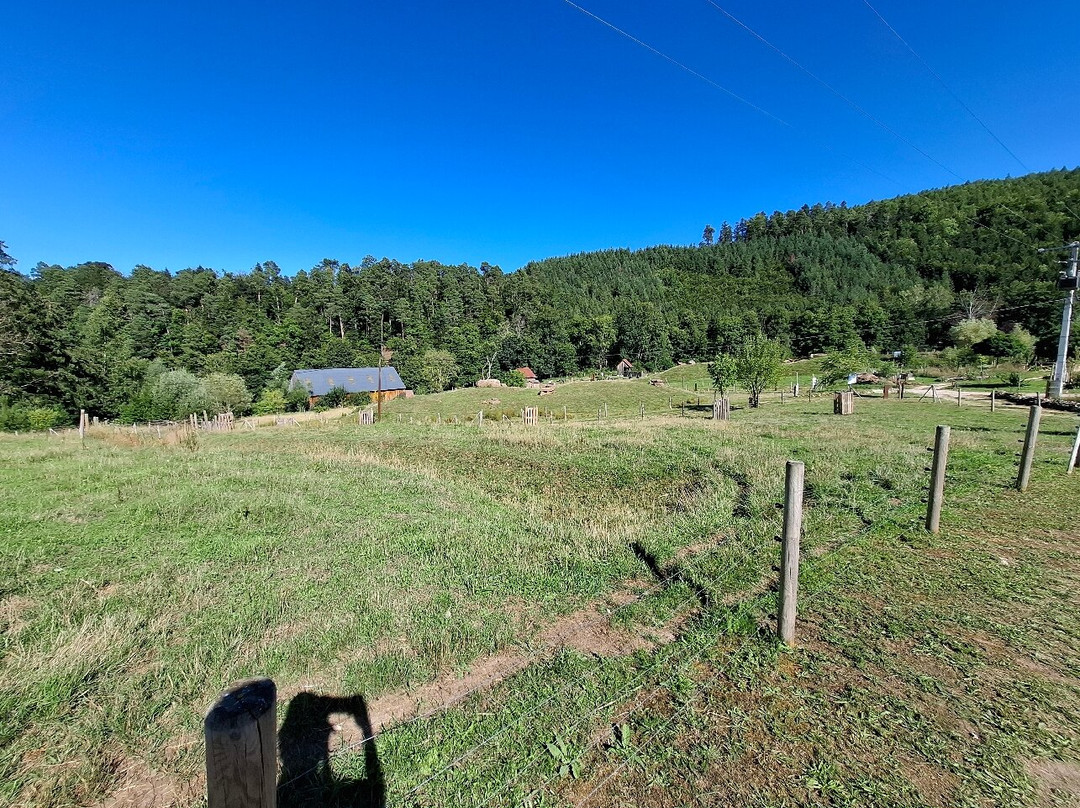 La Ferme D'argentin-Liepvre必去景点