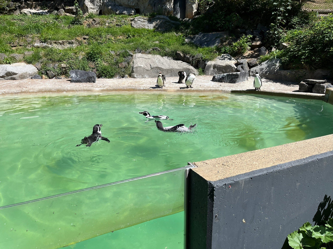 Zoo Neuwied-Neuwied必去景点