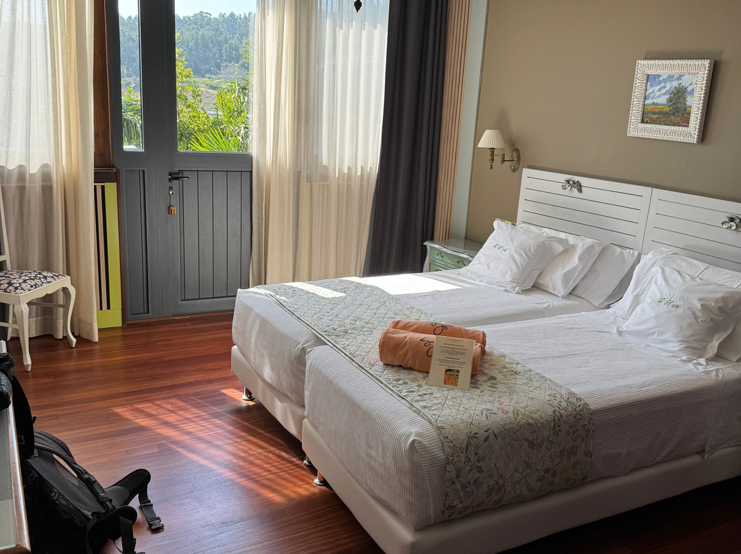 Hotel Quinta de San Amaro主图