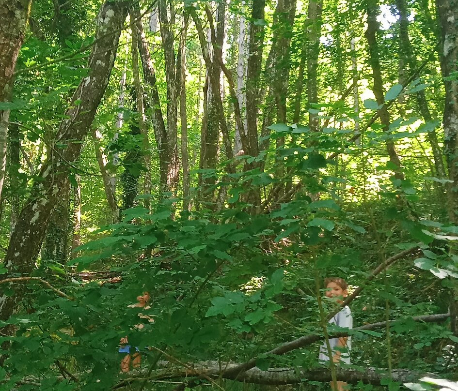 Grotta del Romito-Marradi必去景点