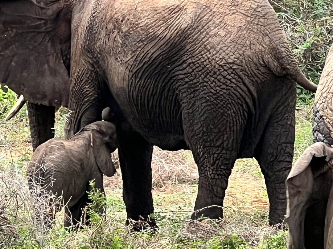 B2 Travel Group-纽约市必去景点