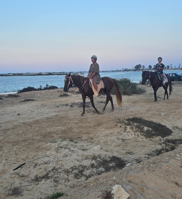 Ranch Yassmina Djerba La Douce-米栋必去景点