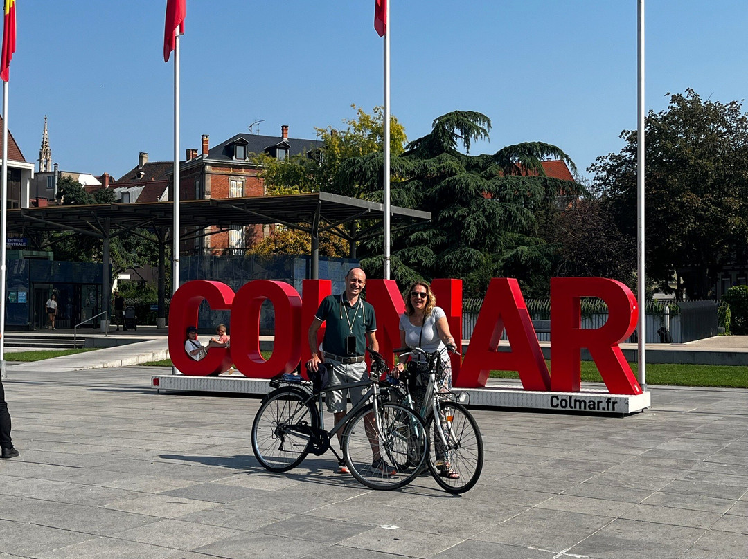 Grand Rue De Colmar-科尔马必去景点