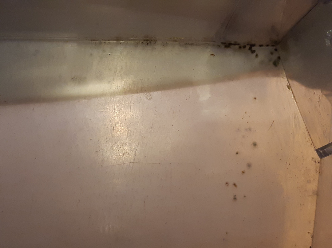 Hotel Klosterbraeustuben主图