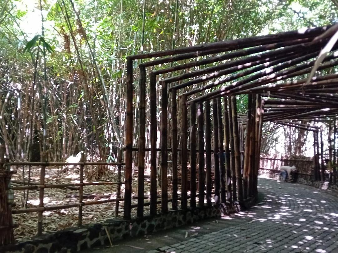 Penglipuran Bamboo Forest-Bangli必去景点