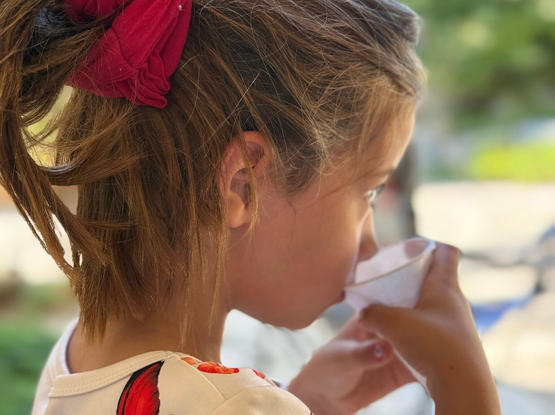 伯德约翰逊夫人野花中心-奥斯丁必去景点