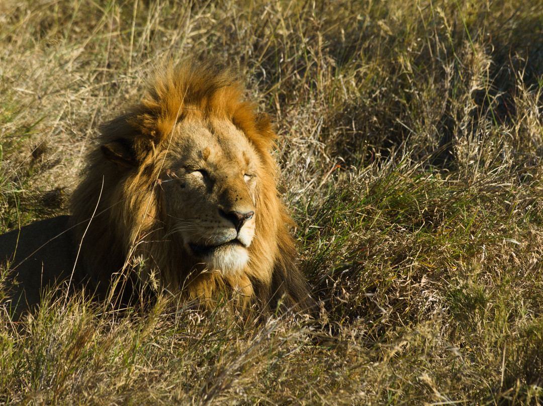 Inspire Tanzania Safaris-阿鲁沙必去景点