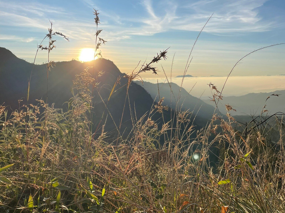 The Private Tour Indonesia-泗水必去景点