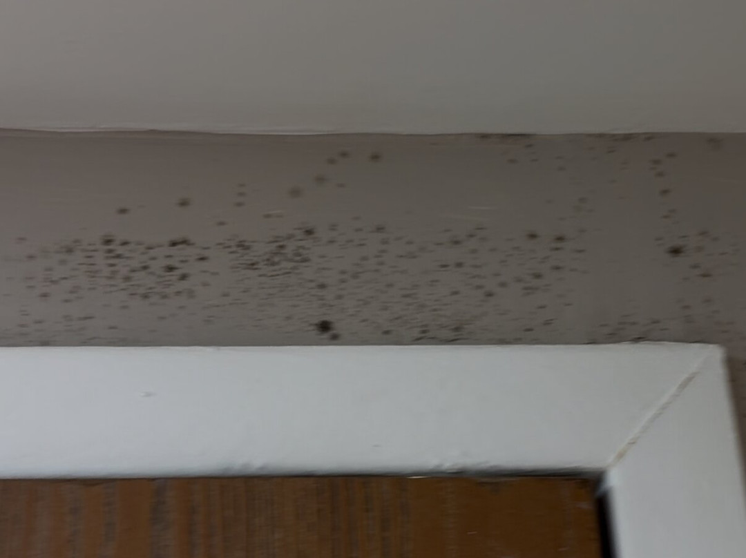 Super 8 by Wyndham Henrietta / Rochester Area主图