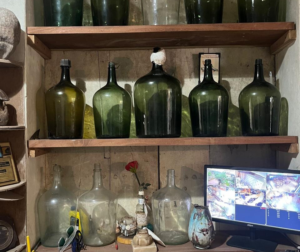 Menezes Braganza House-Chandor必去景点