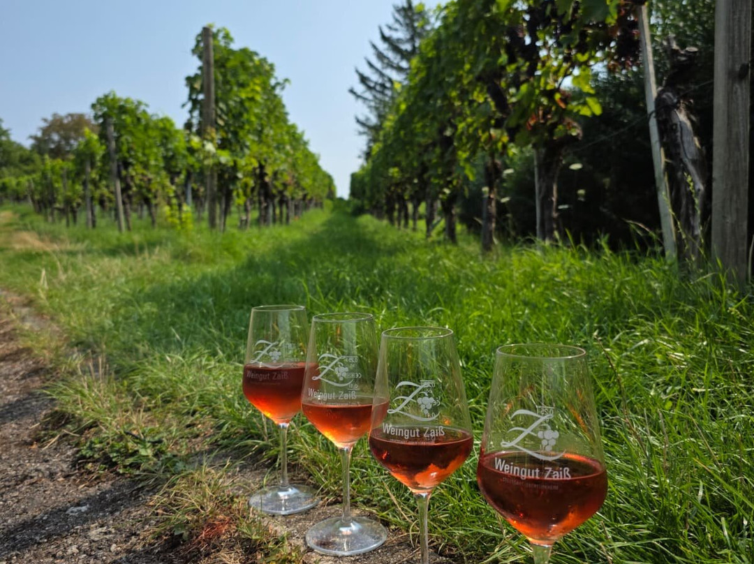 frohnatouren-斯图加特必去景点