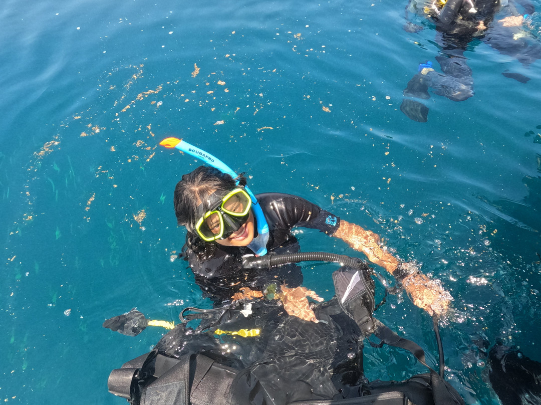 Turquoise Dream | PADI Dive Centre-Neil Island必去景点