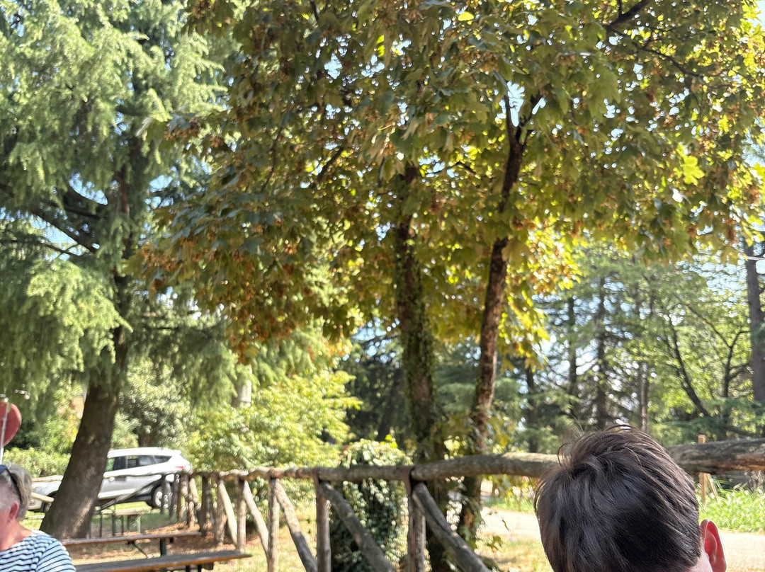 Parco Avventura Le Fiorine-Teolo必去景点