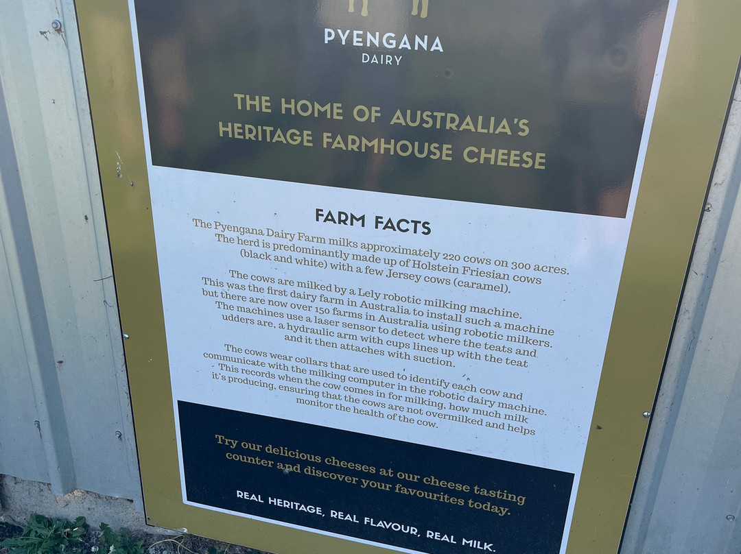 Pyengana Dairy-Pyengana必去景点