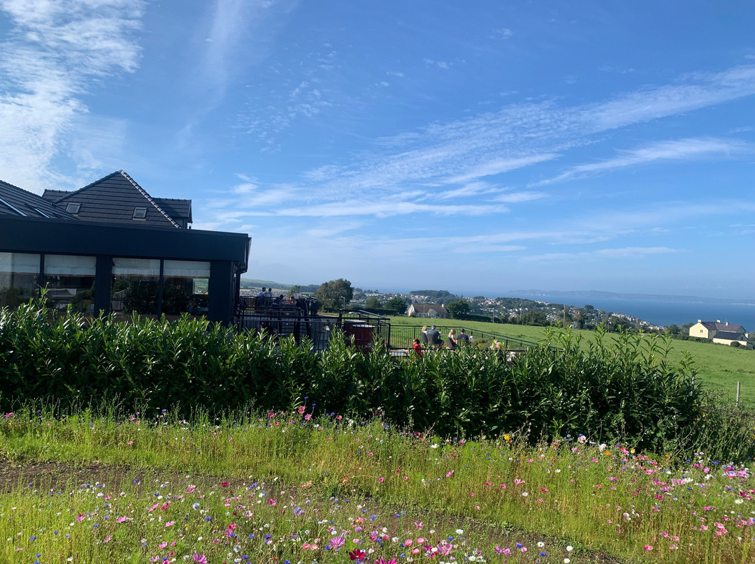 The Salthouse Hotel主图