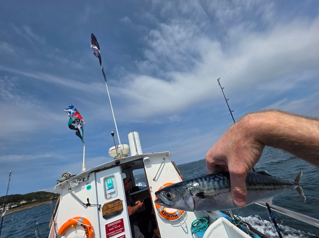 Kingfisher Coastal Charters-Newlyn必去景点