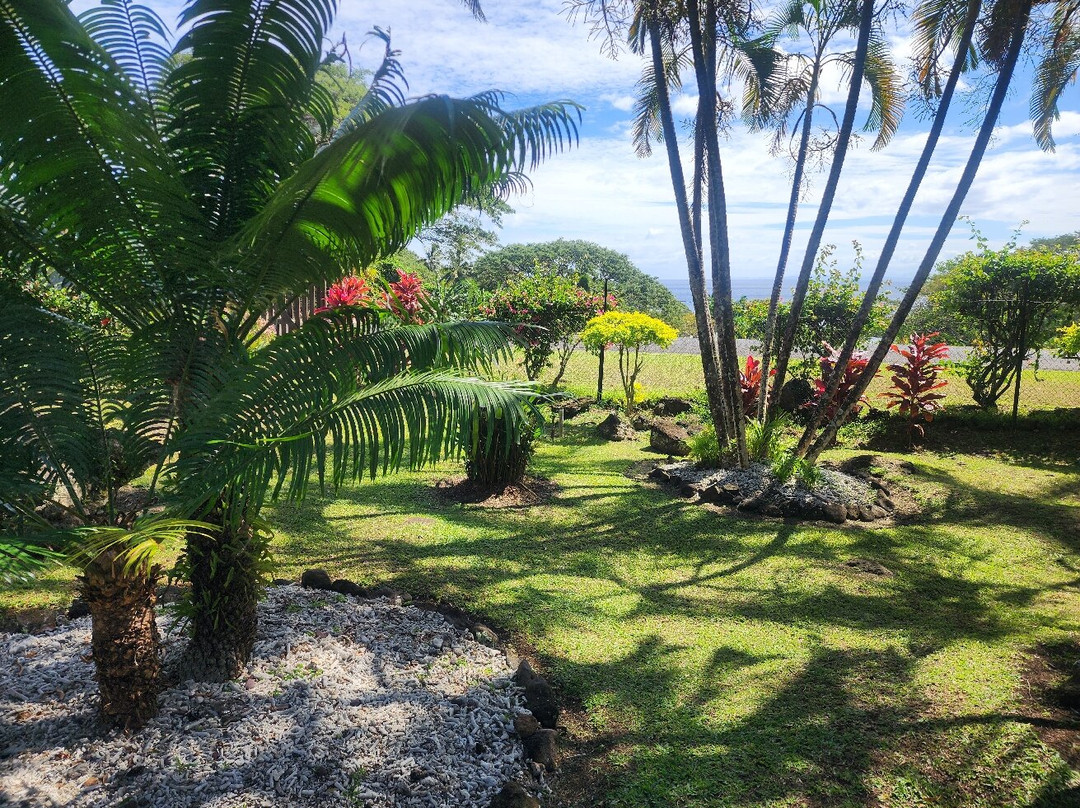 塔妙妮潜水度假酒店主图