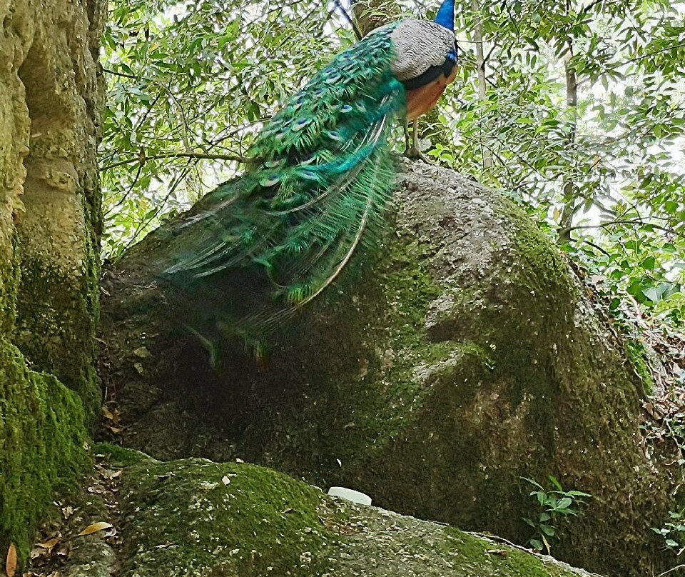Parque do Fontelo-维塞乌必去景点