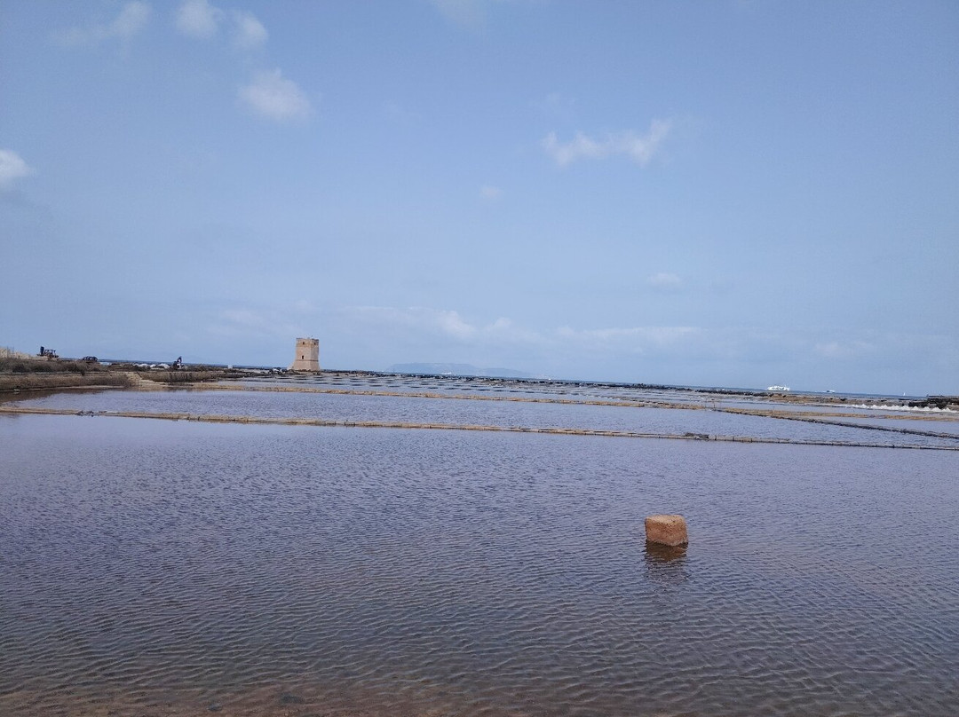Riserva Naturale Saline Di Trapani E Paceco-特拉帕尼省必去景点