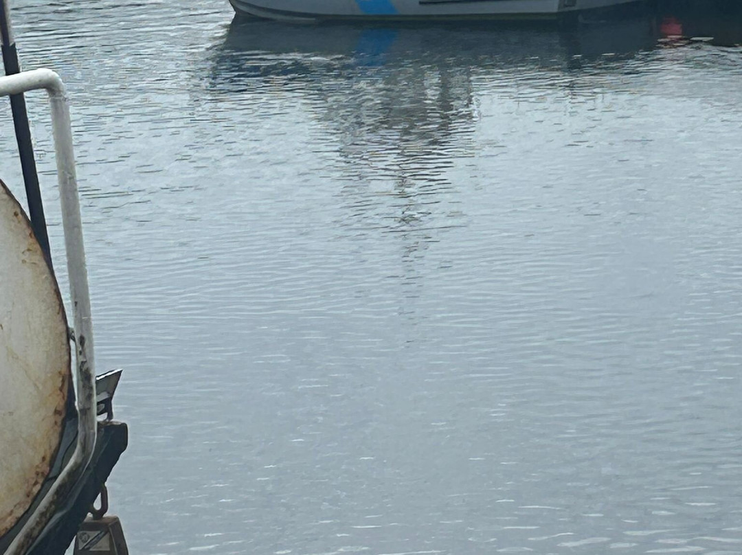 Sliabh Liag Boat Tours-Carrick必去景点