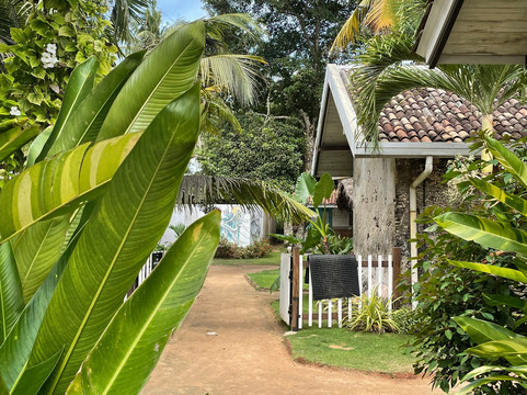 Travel With Udi Sri Lanka-加勒必去景点