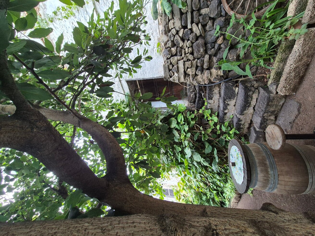 Museo de Malvasia-伊科德洛斯维诺斯必去景点