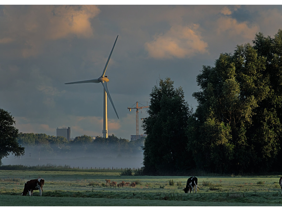 Rondvaart Zoetermeer-Zoetermeer必去景点