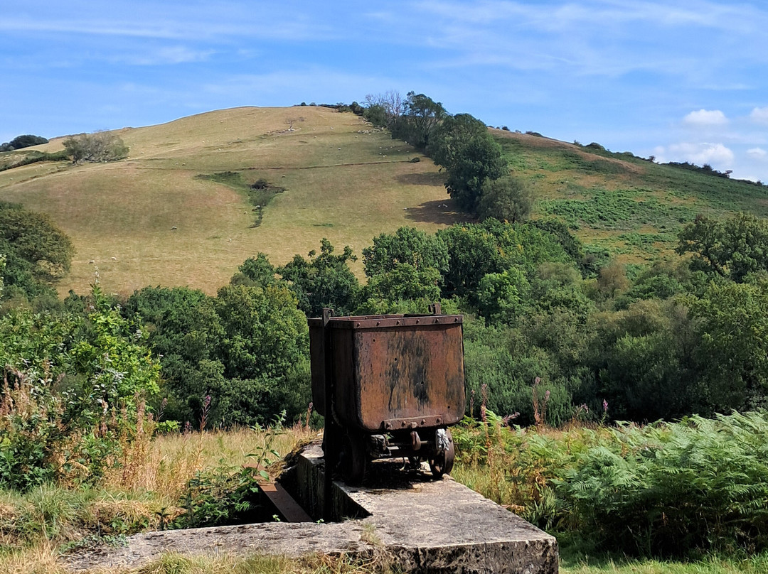 Dolaucothi Gold Mines-Llanwrda必去景点