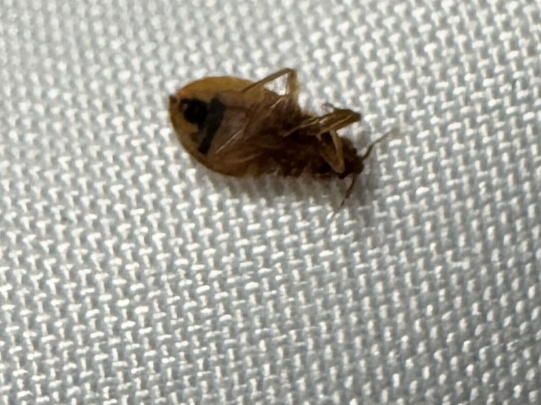 Quality Inn Stuart主图