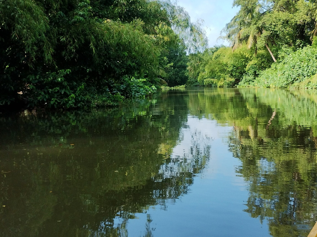 Sao Jeronimo Farm-Soure必去景点