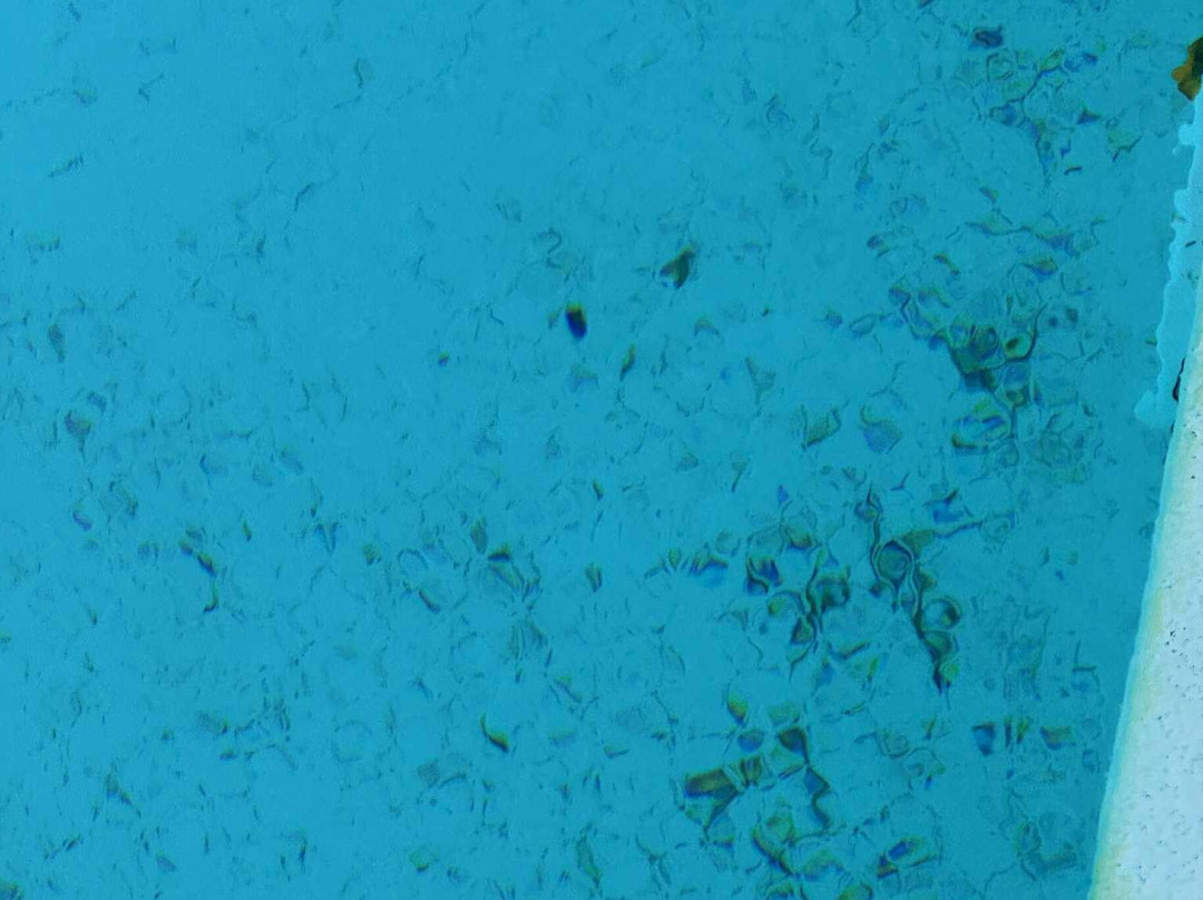 Park Hotel Porto Istana主图