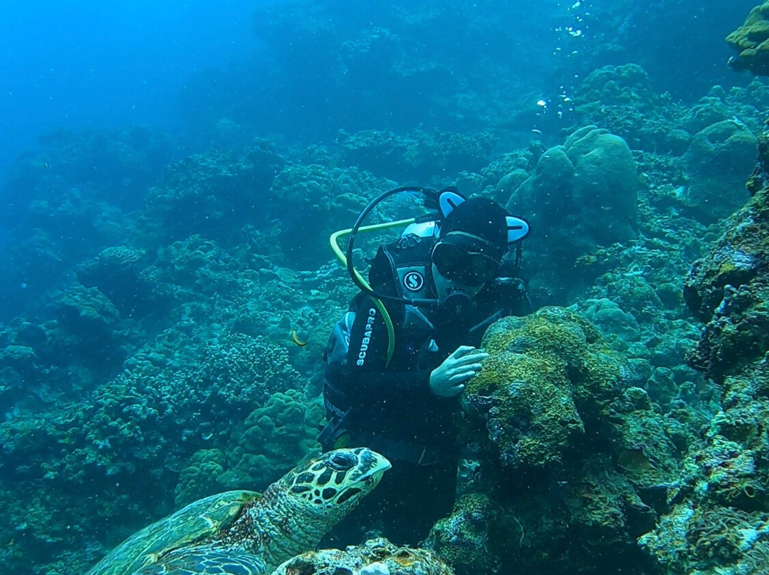 Lion Dive Centre-莫阿尔博阿尔必去景点
