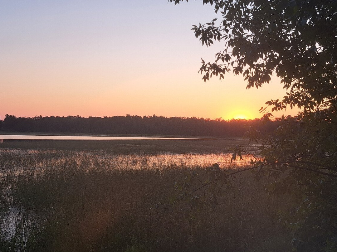 Lake Itasca-Lake Itasca必去景点