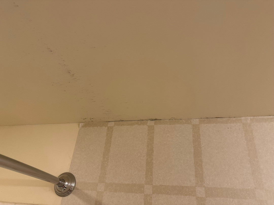 Golden Nugget Laughlin主图