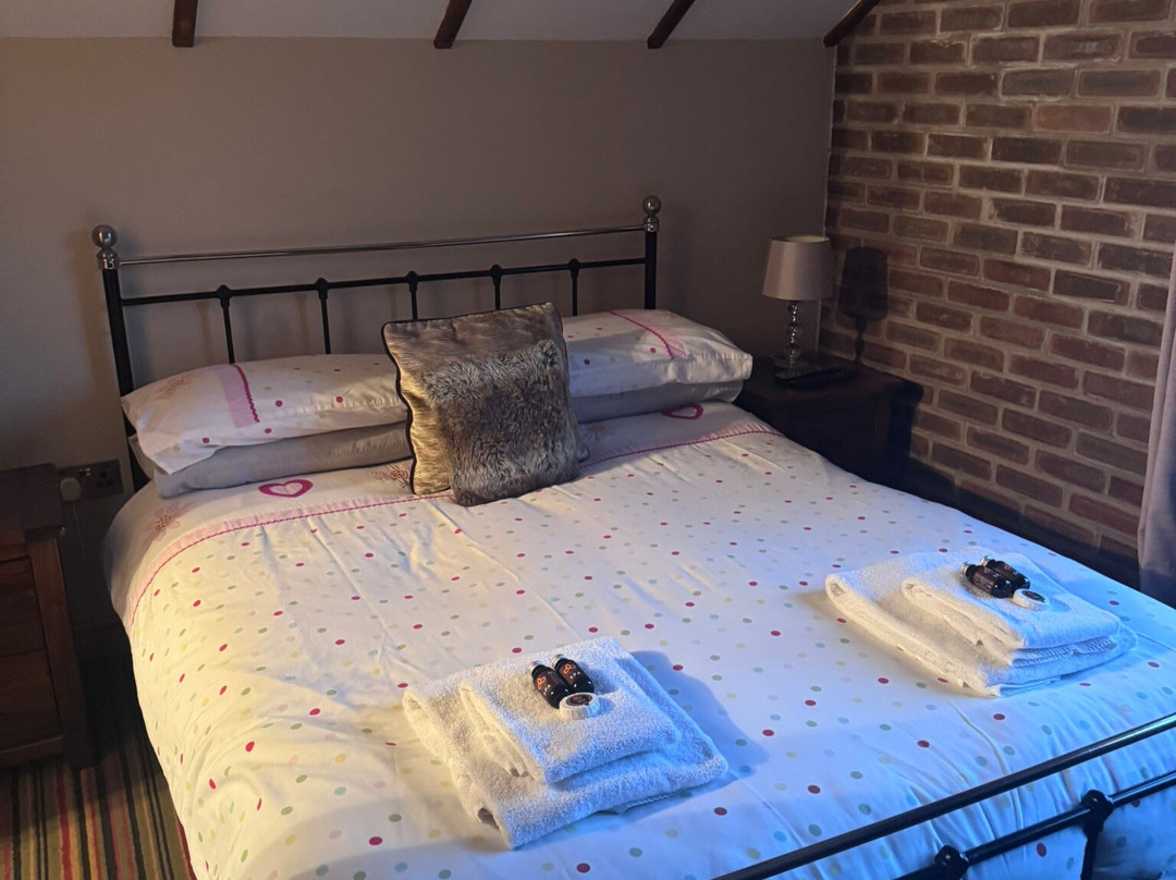 The New Swan Hotel主图