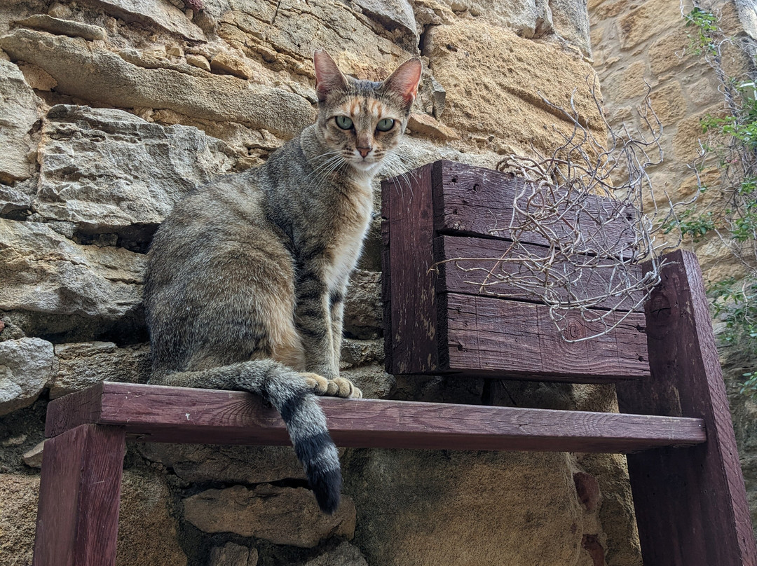 Costa Brava Tours - Private Experience with Driver-Guide-Calella de Palafrugell必去景点