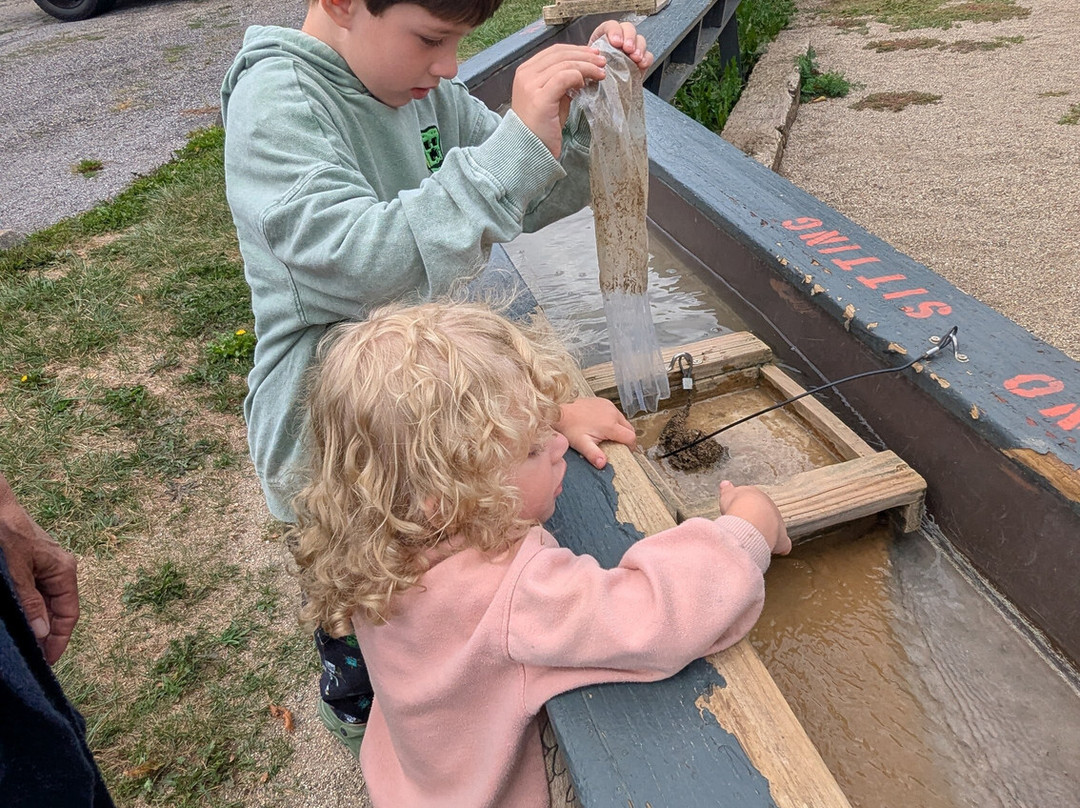 Black Forest Trading Post & Deer Park-Ulysses必去景点