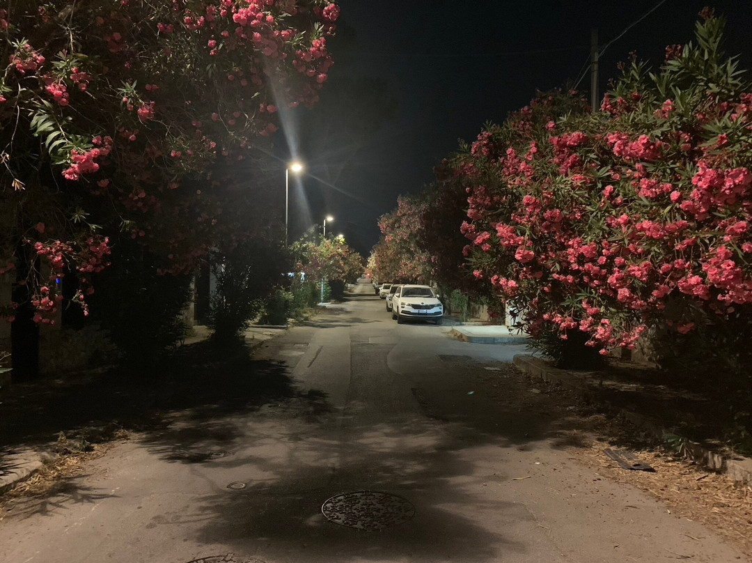 B&B Mondello Resort主图